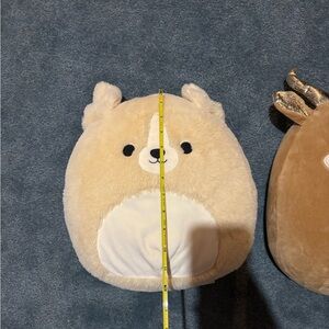 Squishmallows Tan and White Bear Plush